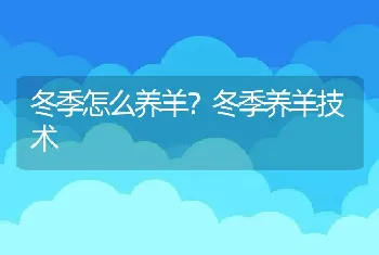 冬季怎么养羊？冬季养羊技术