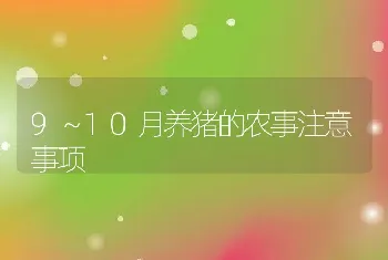 9～10月养猪的农事注意事项