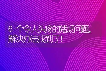 6个令人头疼的猪场问题，解决办法找到了！