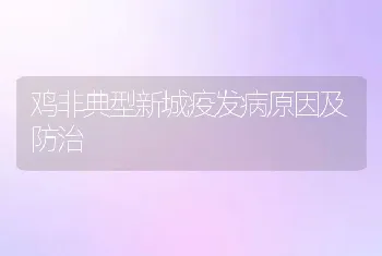 鸡非典型新城疫发病原因及防治