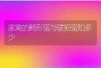 家禽的畸形蛋与破损蛋知多少