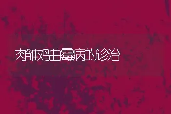 肉雏鸡曲霉病的诊治