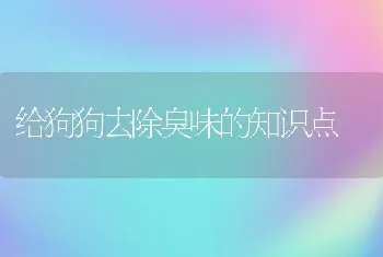 给狗狗去除臭味的知识点