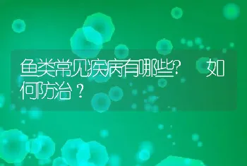 鱼类常见疾病有哪些? 如何防治？