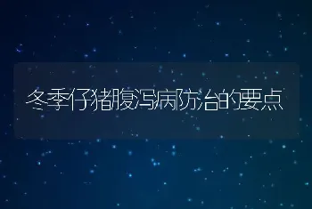 冬季仔猪腹泻病防治的要点