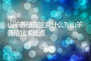 山羊养殖应注意什么？山羊养殖技术要点