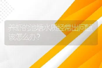 养虾的池塘水质经常出问题该怎么办？