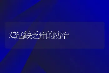 鸡锰缺乏症的防治