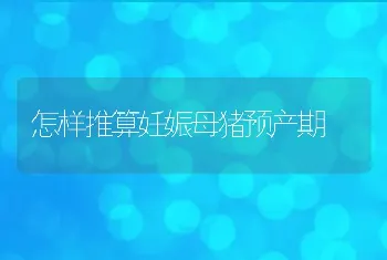 农村蛋鸡养殖场户搞好蛋鸡养殖