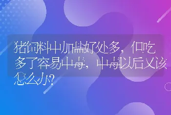 猪饲料中加盐好处多，但吃多了容易中毒，中毒以后又该怎么办？