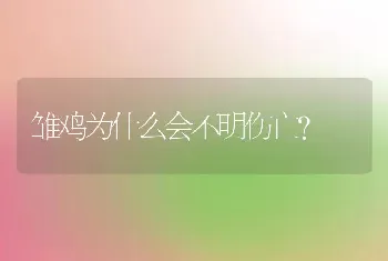 雏鸡为什么会不明伤亡？