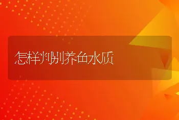 怎样判别养鱼水质