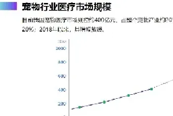 百亿级的宠物医疗消费市场，数字化正在成为趋势