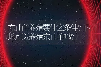 东山羊养殖要什么条件？内地可以养殖东山羊吗？