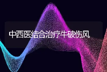 中西医结合治疗牛破伤风