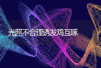 光照不合理诱发鸡互啄