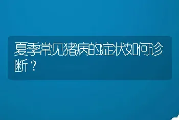 夏季常见猪病的症状如何诊断？