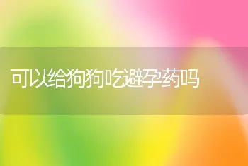 可以给狗狗吃避孕药吗