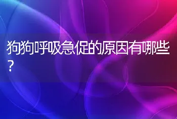 狗狗呼吸急促的原因有哪些？