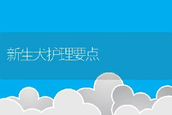 新生犬护理要点