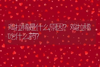 鸡拉稀是什么原因？鸡拉稀吃什么药？