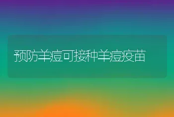 预防羊痘可接种羊痘疫苗