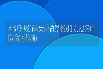 鸡呼吸道疾病的鉴别方法和防治措施