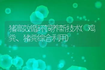 猪高效循环饲养新技术(鸡粪、猪粪综合利用)