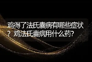 鸡得了法氏囊病有哪些症状?鸡法氏囊病用什么药？