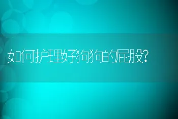 如何护理好狗狗的屁股?