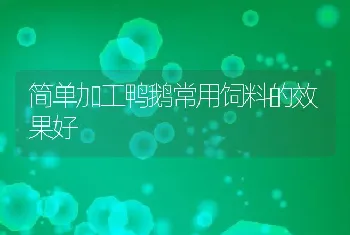 简单加工鸭鹅常用饲料的效果好