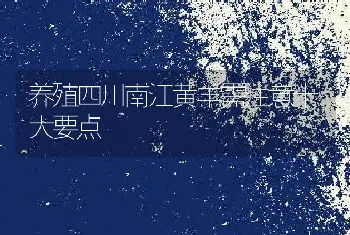 养殖四川南江黄羊需注意十大要点