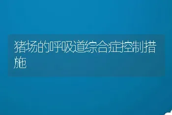 猪场的呼吸道综合症控制措施