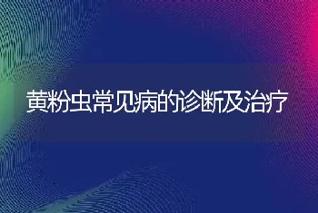 黄粉虫常见病的诊断及治疗