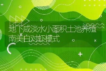 地下咸淡水小面积土池养殖南美白对虾模式