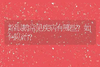 豁眼鹅常见疾病有哪些？如何防治？