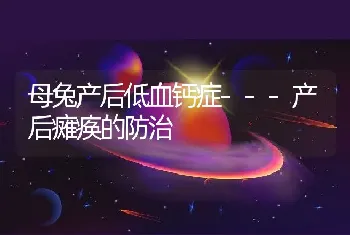 母兔产后低血钙症---产后瘫痪的防治