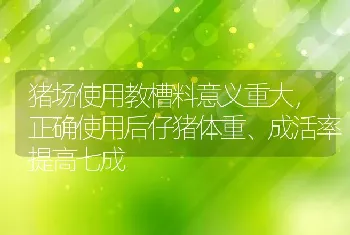 猪场使用教槽料意义重大，正确使用后仔猪体重、成活率提高七成