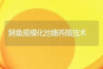 鲟鱼规模化池塘养殖技术