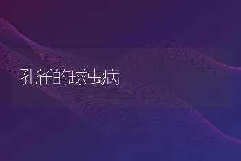 孔雀的球虫病