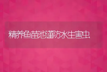 精养鱼苗池谨防水生害虫