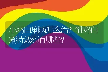 小鸡白痢病怎么治？雏鸡白痢特效药有哪些？