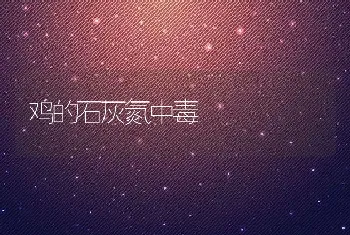 鸡的石灰氮中毒