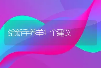 给新手养羊4个建议