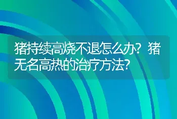 猪持续高烧不退怎么办?猪无名高热的治疗方法？