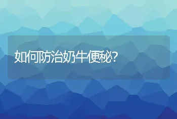 如何防治奶牛便秘？