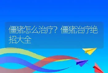 僵猪怎么治疗？僵猪治疗绝招大全