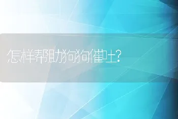 怎样帮助狗狗催吐?