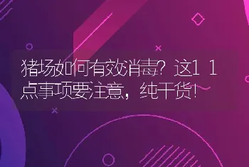 猪场如何有效消毒？这11点事项要注意，纯干货！