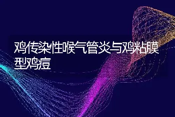 鸡传染性喉气管炎与鸡粘膜型鸡痘